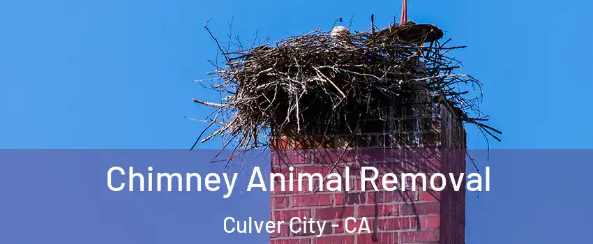 Chimney Animal Removal Culver City - CA