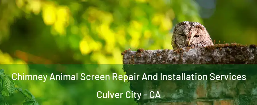  Chimney Animal Screen Repair And Installation Services Culver City - CA