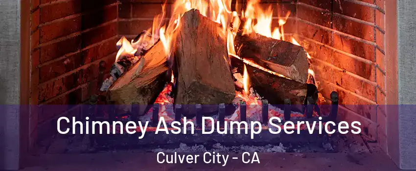  Chimney Ash Dump Services Culver City - CA