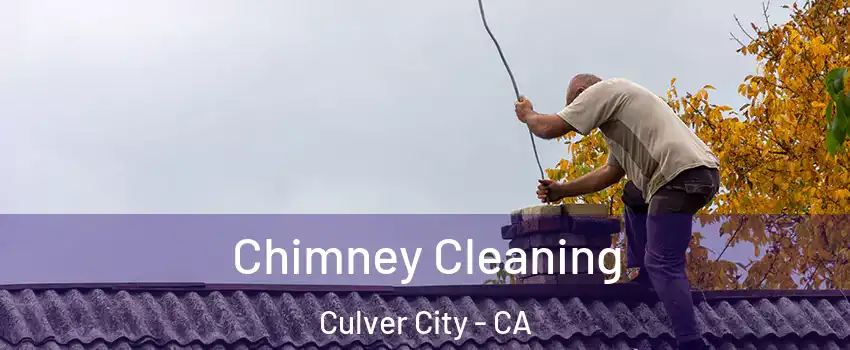  Chimney Cleaning Culver City - CA