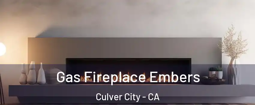  Gas Fireplace Embers Culver City - CA