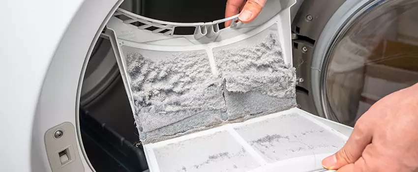 Best Dryer Lint Removal Company in Culver City, California