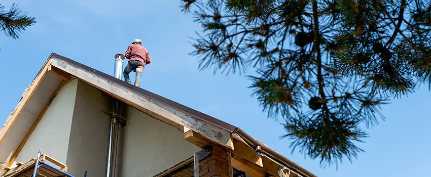 Birds Removal Contractors from Chimney in Culver City, CA