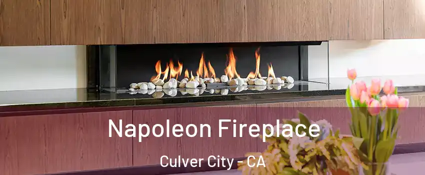 Napoleon Fireplace Culver City - CA